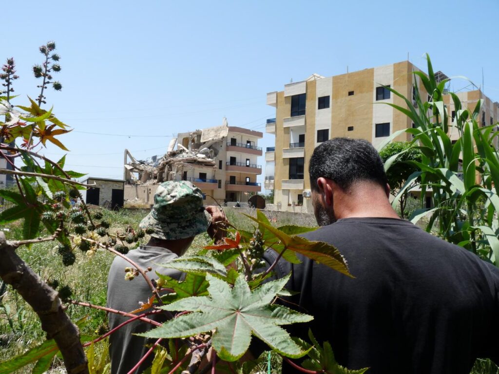 Du champ aux déplacé·es de guerre : la solidarité alimentaire au Liban